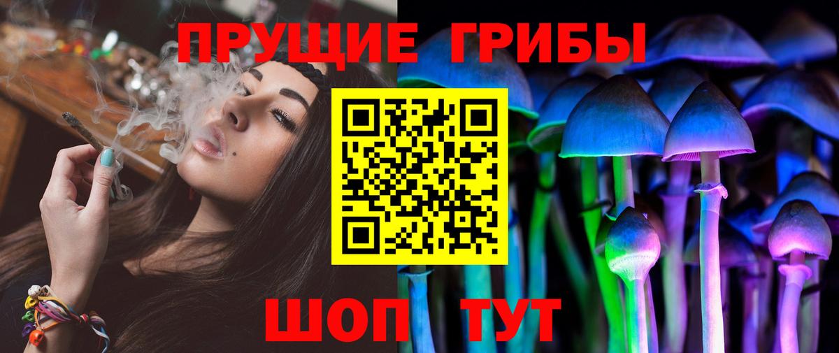Псилоцибиновые грибы ЛСД  Псилоцибиновые грибы Psilocybine cubensis  Вход с VPN  Железногорск 
