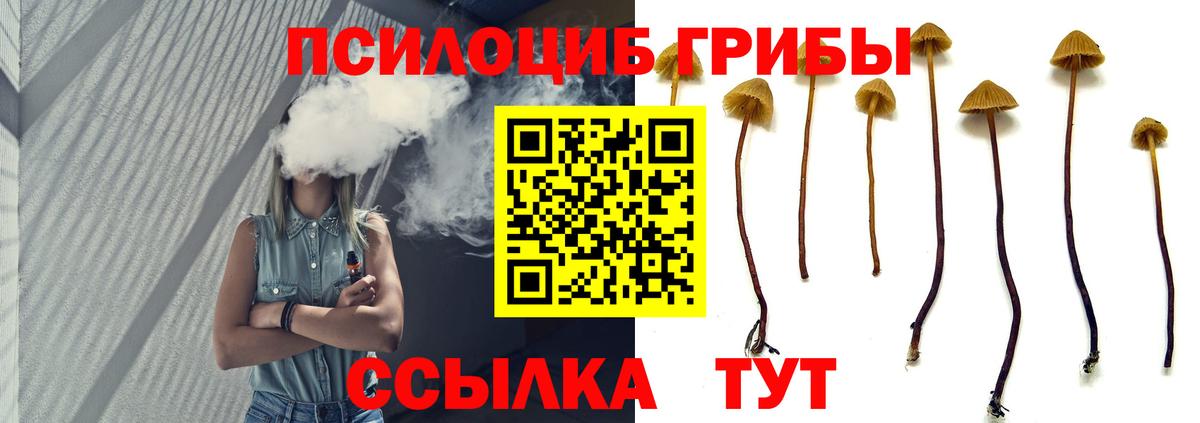 Псилоцибиновые грибы GOLDEN TEACHER Железногорск